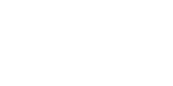 넷엘리먼츠 logo