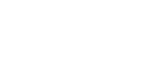 다이아몬드넷 logo
